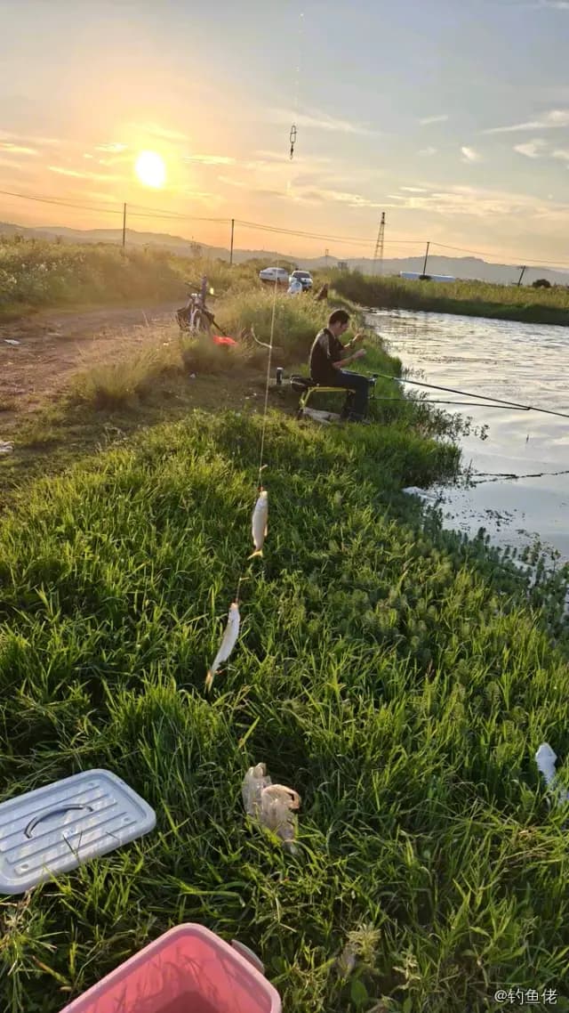 大神仙鱼钓获 红河哈尼族彝族自治州 0.02kg