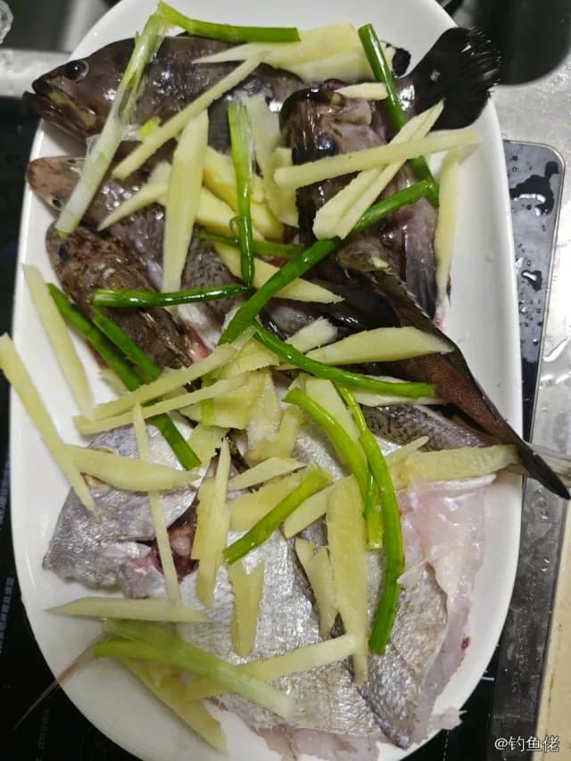 二长棘犁齿鲷钓获 深圳市 1kg
