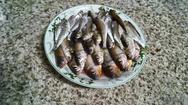 蓝圆鲹钓获 桂林市 0.06kg