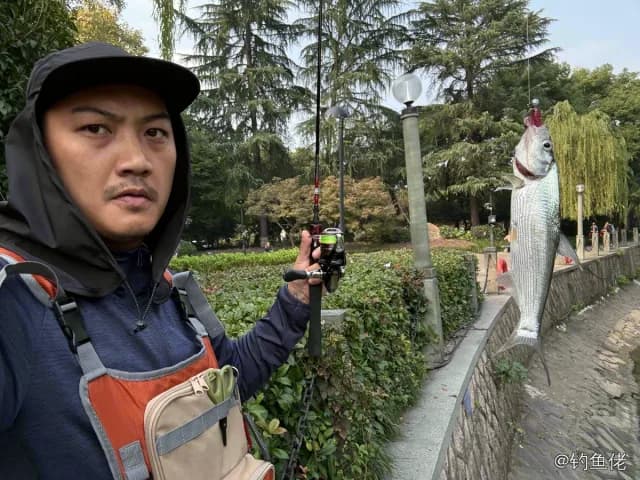 青梢红鲌钓获 杭州市 4.5kg