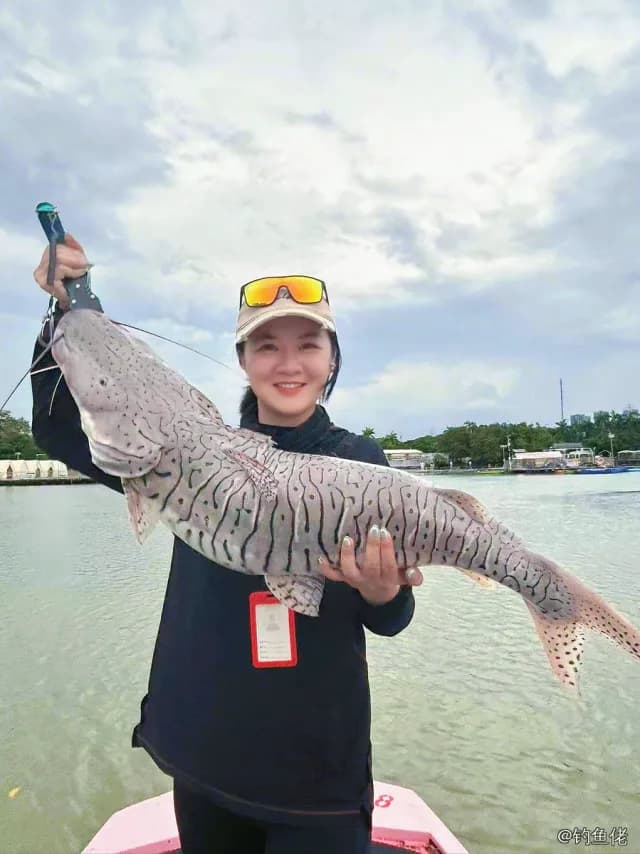 条纹鸭嘴鲇钓获 贵阳市 1.5kg