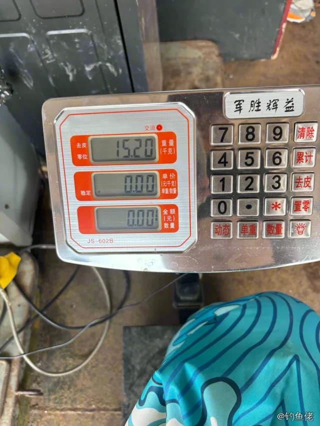 线翎电鳗钓获 黄冈市 0.05kg