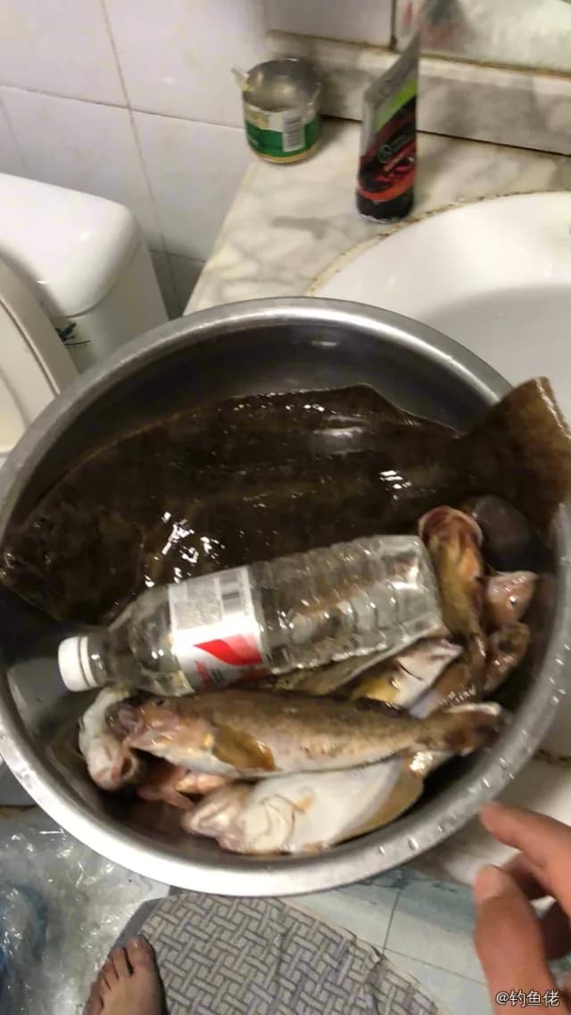 牙鲆钓获 威海市 1.3kg