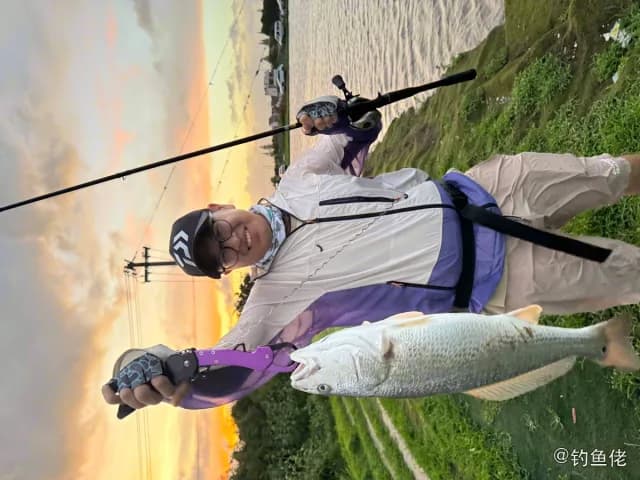 眼斑拟石首鱼钓获 上海市 33.6kg