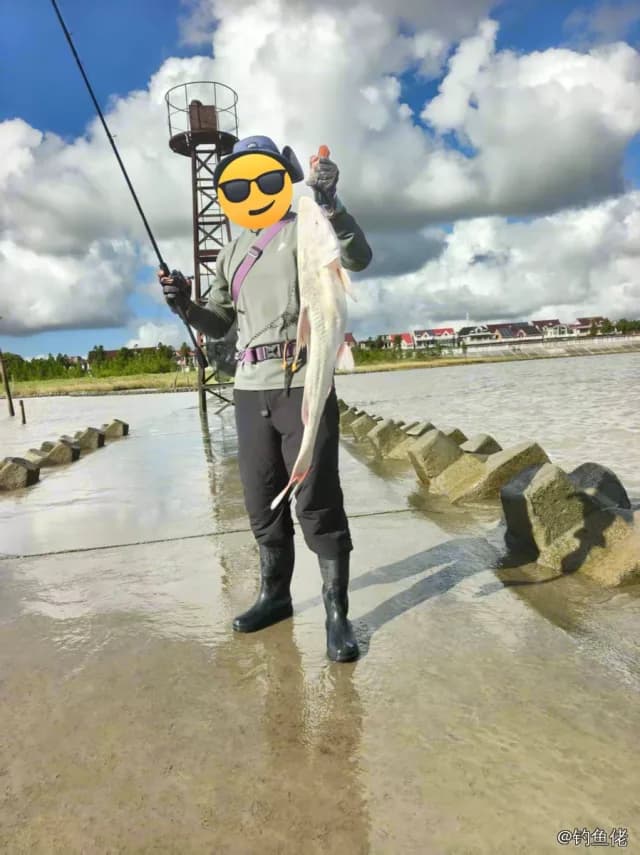 长吻鮠钓获 上海市 6kg