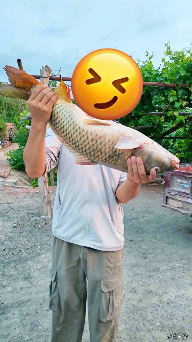 鲤鱼钓获 5.1kg