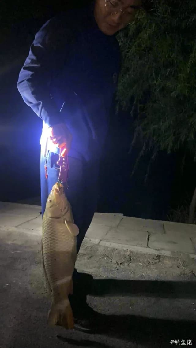 鲤鱼钓获 4kg