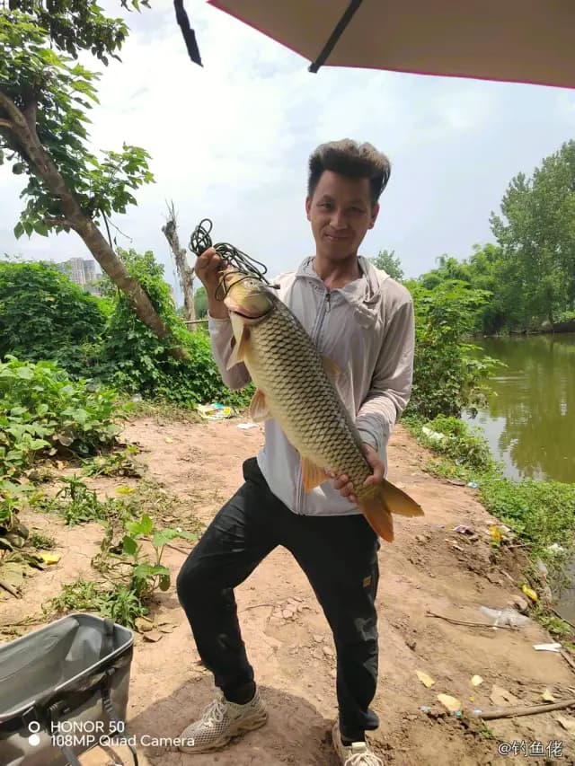 鲤鱼钓获 4.6kg