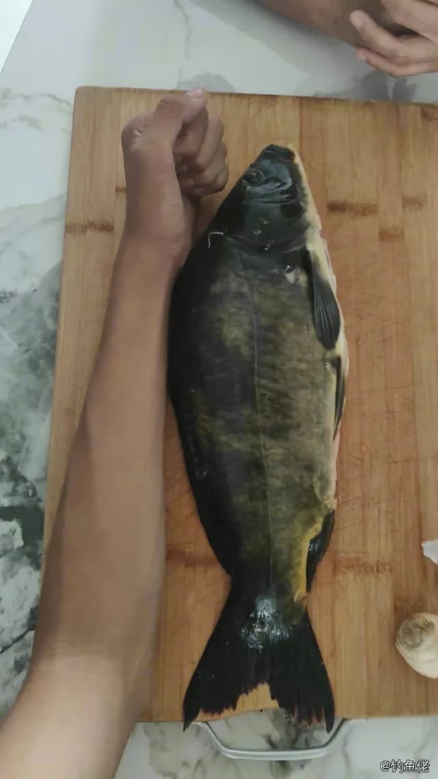 丁鱥钓获 0.75kg