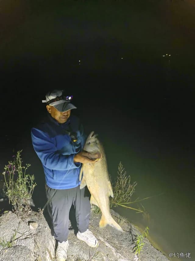 鲢鱼钓获 4kg