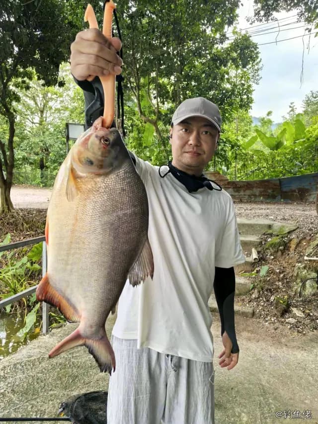 淡水红鲳钓获 4.5kg