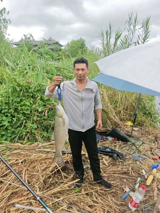 草鱼钓获 4.5kg