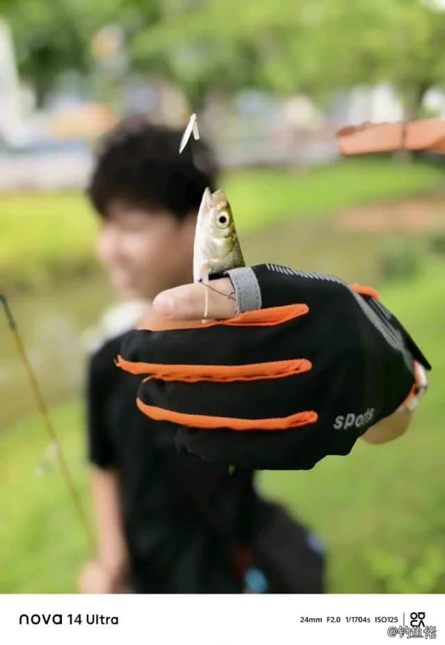 圆吻鲴钓获 0.01kg
