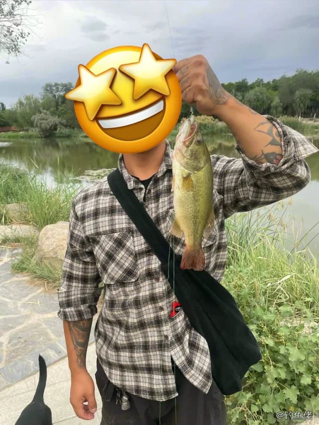 大口黑鲈钓获 0.5kg