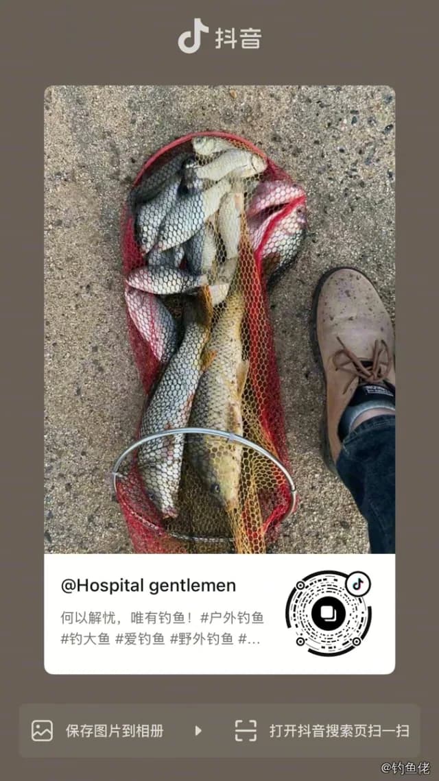 鲤鱼钓获 8kg