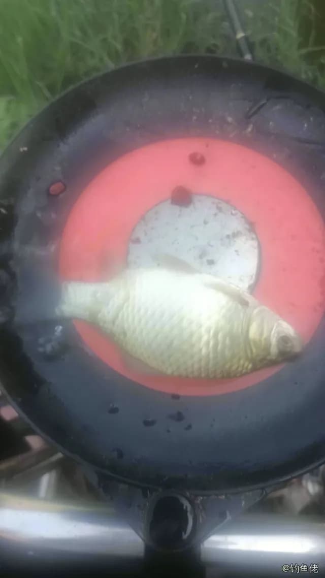 鲤鱼钓获 0.4kg
