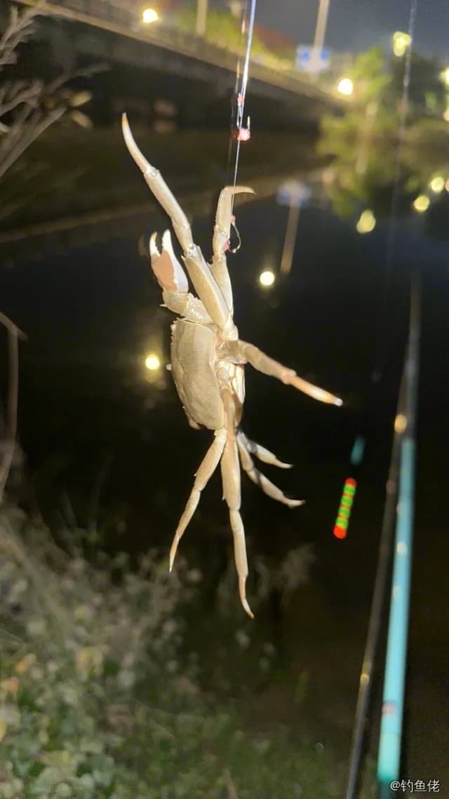 三疣梭子蟹钓获 福州市 0.2kg