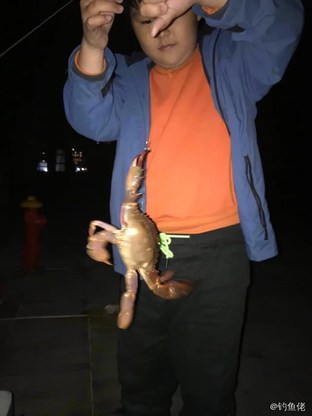 三疣梭子蟹钓获 珠海市 0.6kg